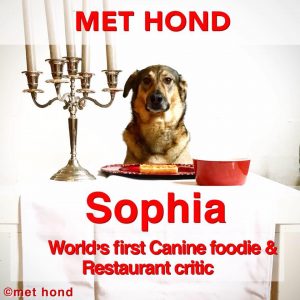 MET HOND, Café-Restaurant Opcanner Anker.